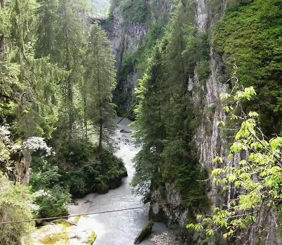 Apartmán Haus Tamara *